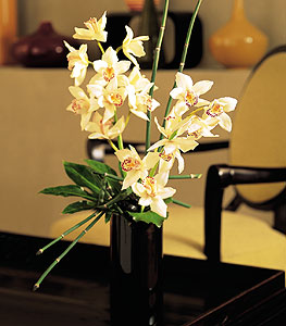  Mersin nternetten iek siparii  cam yada mika vazo ierisinde dal orkide