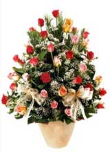 91 adet renkli gül aranjman   Mersin 14 şubat sevgililer günü çiçek 