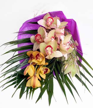  Mersin iek sat  1 adet dal orkide buket halinde sunulmakta