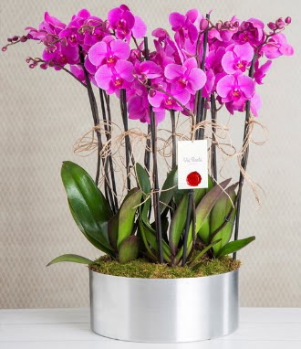 11 dall mor orkide metal vazoda  Mersin 14 ubat sevgililer gn iek 
