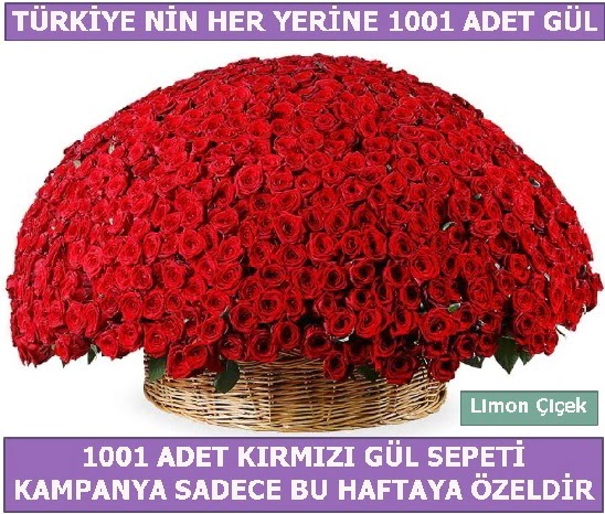 1001 Adet kırmızı gül Bu haftaya özel  Mersin uluslararası çiçek gönderme 