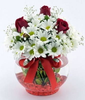 Fanusta 3 Gül ve Papatya  Mersin çiçek yolla , çiçek gönder , çiçekçi  