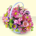 Mersin online çiçek gönderme sipariş  bir sepet dolusu kir çiçegi  Mersin 14 şubat sevgililer günü çiçek 