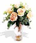  Mersin online çiçekçi , çiçek siparişi  6 adet sari gül ve cam vazo