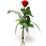  Mersin çiçek online çiçek siparişi  1 adet kirmizi gül cam yada mika vazo içerisinde