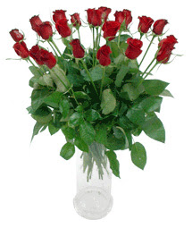  Mersin çiçek online çiçek siparişi  11 adet kimizi gülün ihtisami cam yada mika vazo modeli
