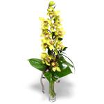  Mersin uluslararası çiçek gönderme  cam vazo içerisinde tek dal canli orkide