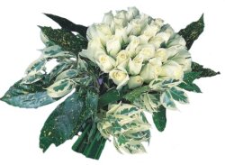  Mersin çiçek gönderme sitemiz güvenlidir  9 Beyaz gül Özel kisiler için