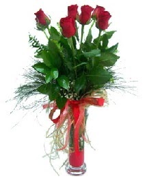 vazo içerisinde 5 kırmızı gül  Mersin çiçek siparişi vermek 