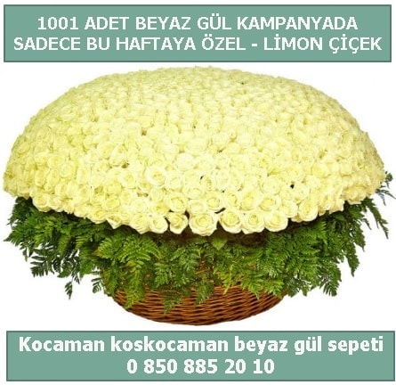 1001 adet beyaz gül sepeti özel kampanyada  Mersin 14 şubat sevgililer günü çiçek 