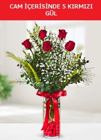 Cam içerisinde 5 adet kırmızı gül  Mersin online çiçekçi , çiçek siparişi 